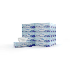 30 Boxes Soft n Cool Facial Tissue 150 Sheets X 2 Ply