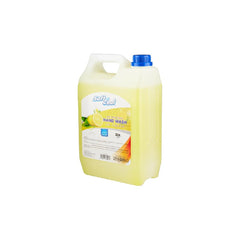 5 Ltr x 4 Pieces Soft N Cool Hand Wash Liquid