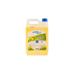 5 Ltr x 4 Pieces Soft N Cool Dishwashing Liquid