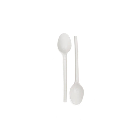 1000 Pieces Plastic Dessert Spoon