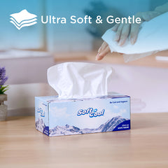 30 Boxes Soft n Cool Facial Tissue 200 Sheets X 2 Ply