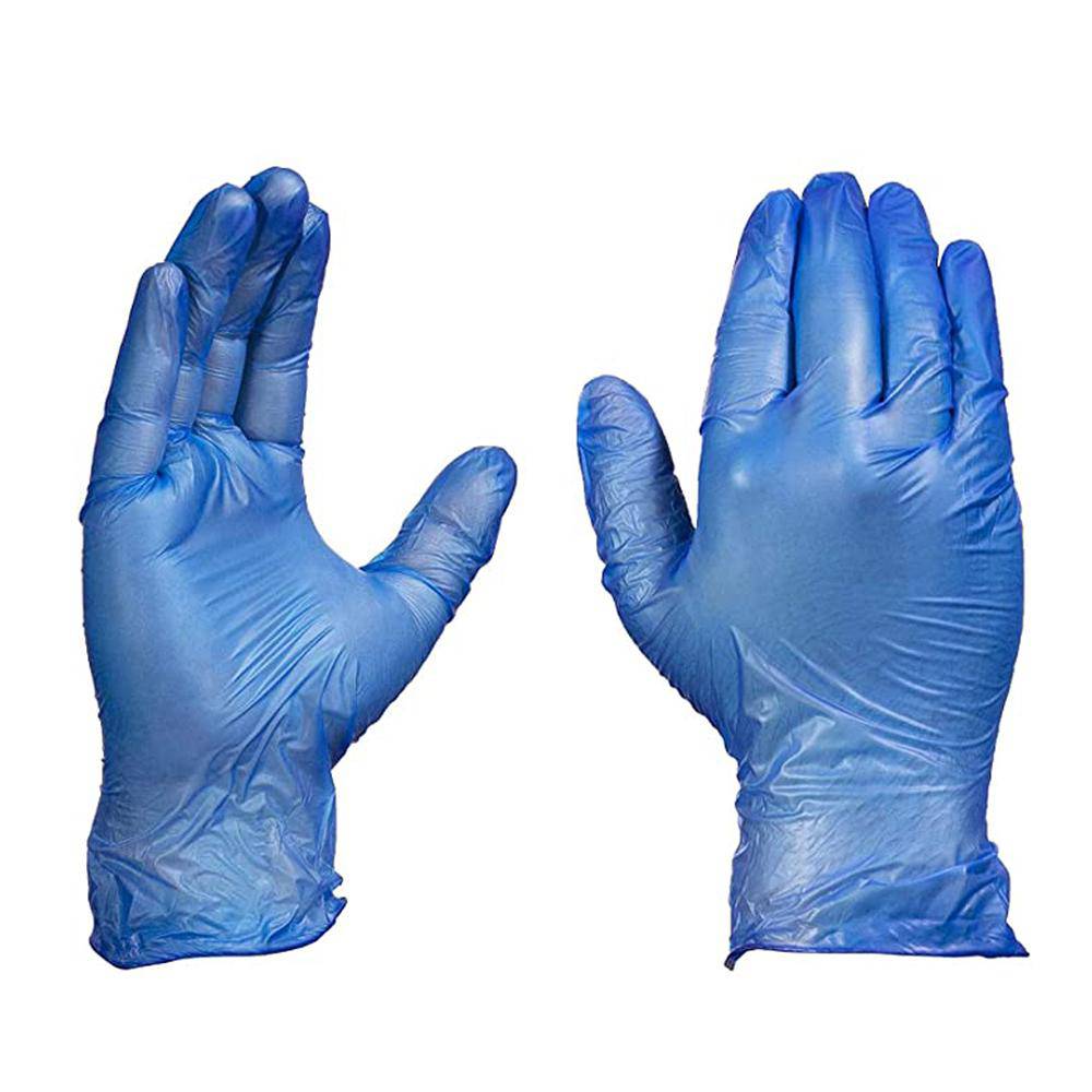 1000 Pieces Blue Powder Free Vinyl Gloves