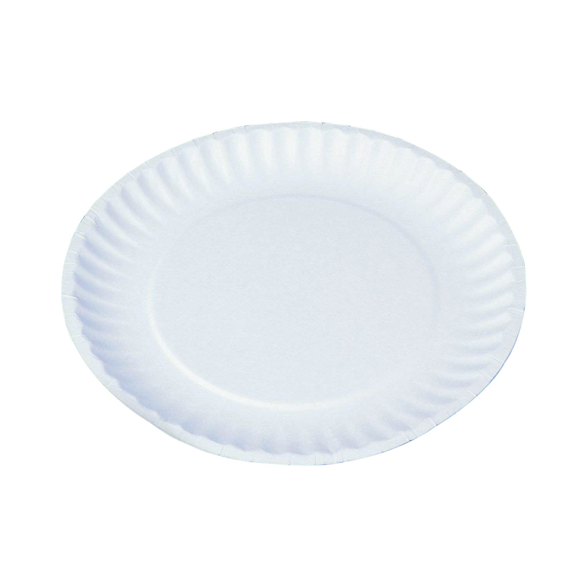 100 Pieces Paper Plate 9 Inch -12 Packets