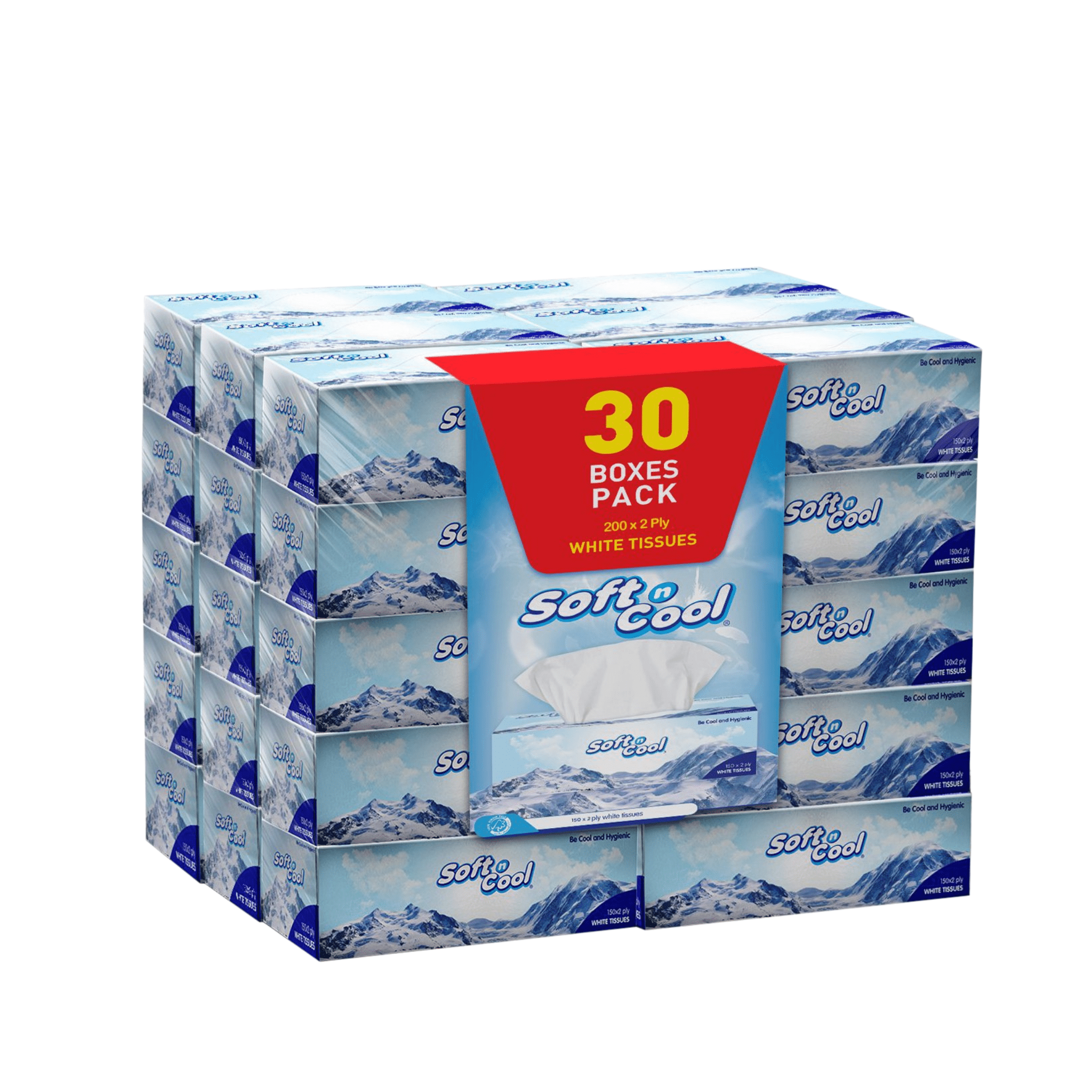 Hotpack 30 Boxes Soft N Cool 2 Ply Facial Tissue